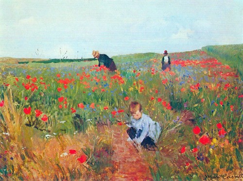 Poppy the field - in,